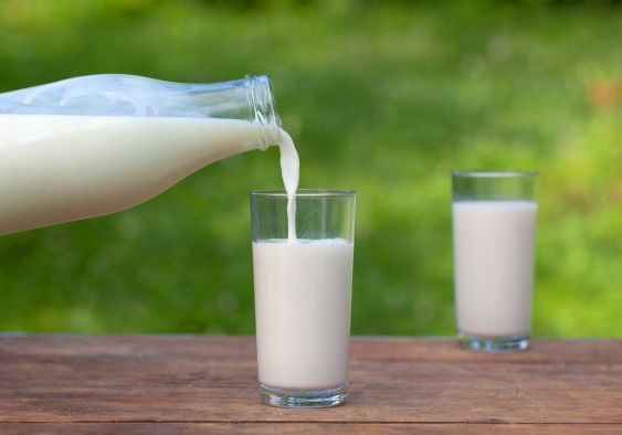 Thành phần dinh dưỡng của sữa tươi