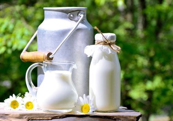 Uống sữa tươi có lợi gì cho sức khoẻ