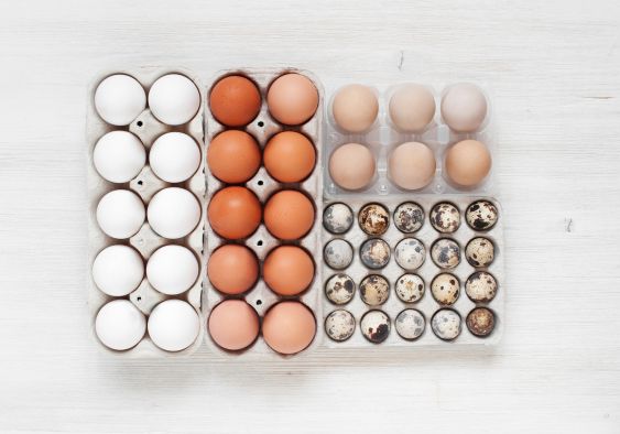 Giá trị dinh dưỡng có trong các loại trứng