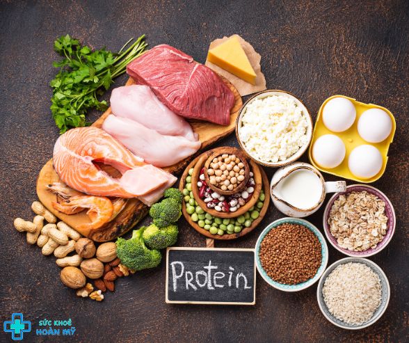 Protein có phải là đạm không