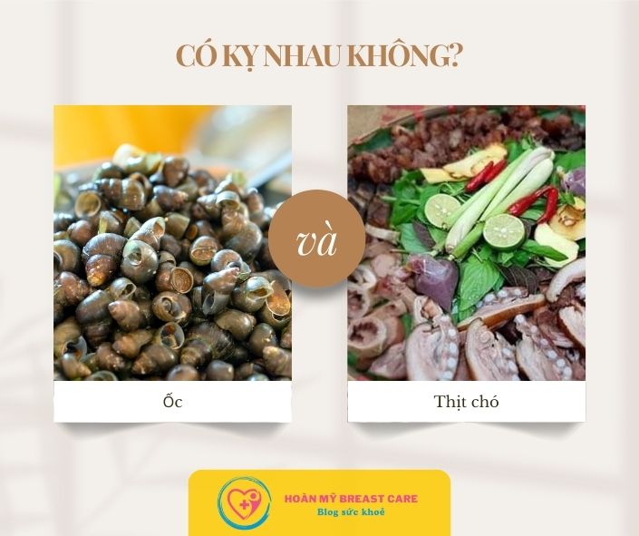 Ốc và thịt chó có kỵ nhau không